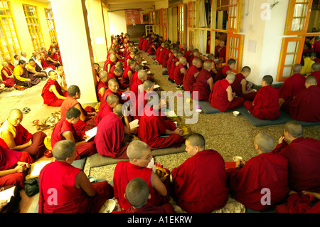 Mönche sitzen versammelten sich in den Fluren der Namgyal Kloster McLeod Ganj Stockfoto