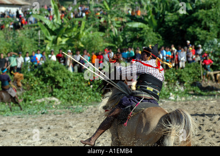 WEST-SUMBA INDONESIEN PASOLA RITUELLE KRIEG Stockfoto