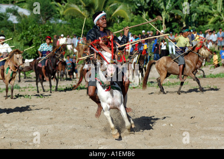 WEST-SUMBA INDONESIEN PASOLA RITUELLE KRIEG Stockfoto