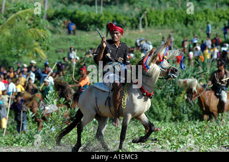 WEST-SUMBA INDONESIEN PASOLA RITUELLE KRIEG Stockfoto