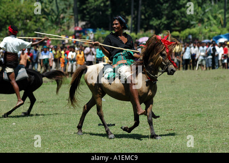 WEST-SUMBA INDONESIEN PASOLA RITUELLE KRIEG Stockfoto