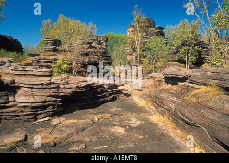 Sandstein-Wald am Ubirr, Kakadu-Nationalpark, Northern Territory, Australien Stockfoto