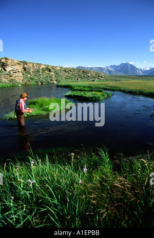 Modell freigegeben Senior Mann Fliegenfischen Eastern Sierras Stockfoto
