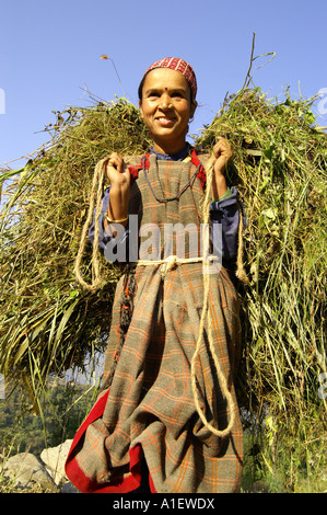 Frontalansicht des jungen lächelnden Inderin trägt ein Bündel Gras in sonniger Tag, Kullu Valley, Indien 2006 Stockfoto