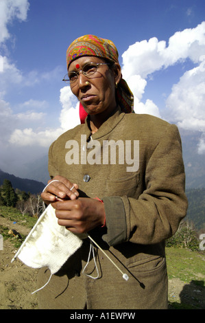 Indische Frau stricken im freien hoch im indischen Himalaya, Kullu Valley, Indien Stockfoto