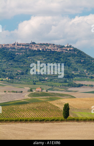 Montalcino Val d ' Orcia Toskana Italien EU Europa Stockfoto