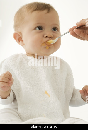 Baby Babynahrung gefüttert Stockfoto