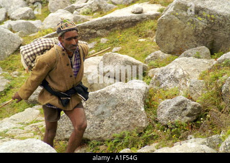 Gaddi Hirte aufsteigende steile Almwiese unter Indrahar pass Stockfoto