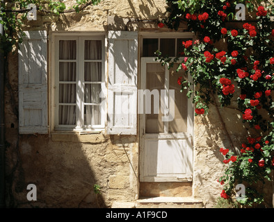 Schöne Rosen rund um eine charmante Tür in Vaison La Romaine in der Provence.. Rustikales Bild typisch für altmodisches Frankreich. Stockfoto