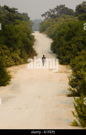 Dunas de Saö Jacinto Natur Reserva Beiras Portugal Stockfoto