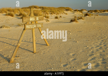 Dunas de Saö Jacinto Natur Reserva Beiras Portugal Stockfoto