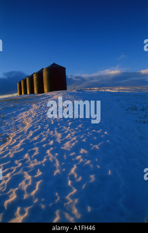 Winternachmittag auf der kanadischen Prärie Stockfoto