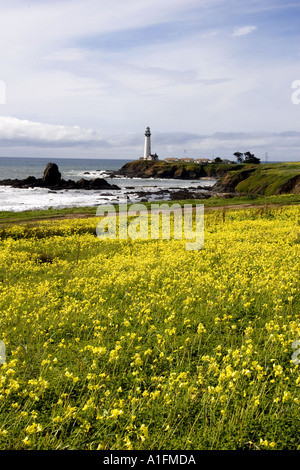 Pigeon Point Leuchtturm in der Nähe von Half Moon Bay Kalifornien mit einem Feld von Oxalis Sourgrass Blumen Stockfoto