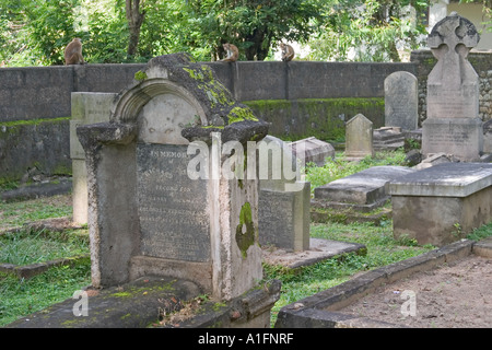 Grabsteine in britischen Garnison-Friedhof. Kandy, Sri Lanka Stockfoto