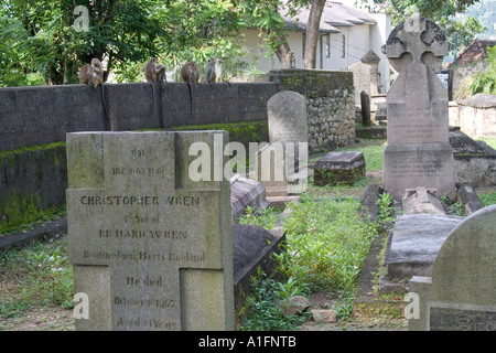 Grabsteine in britischen Garnison-Friedhof. Kandy, Sri Lanka Stockfoto