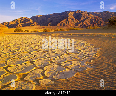 Getrockneten Schlamm Muster Dünen und Weggemeinschaft Berge Death Valley Nationalpark, Kalifornien Stockfoto