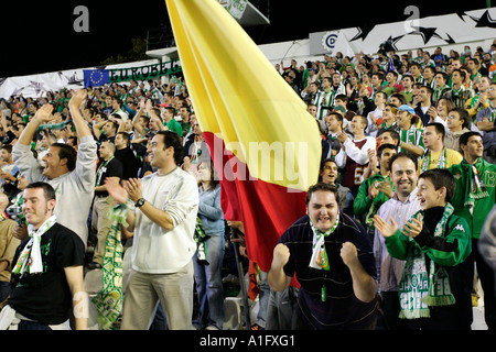 Real Betis-Fans zeigen ihre Freude nach dem Sieg über Chelsea FC in der UEFA Champions League Stockfoto