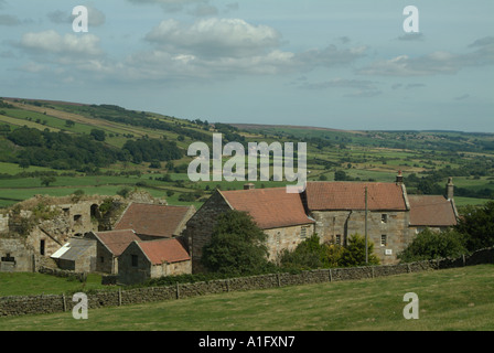 Danby Schloss am Ende des kleinen Fryup Dale in den North York Moors Stockfoto