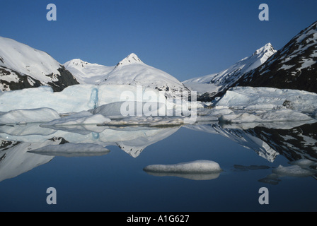 Eisberge in See Portage Glacier Yunan Alaska Stockfoto