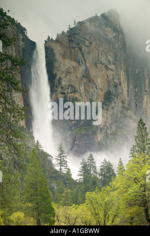 Bridalveil Falls während Frühling Abfluss, Yosemite-Nationalpark, Stockfoto