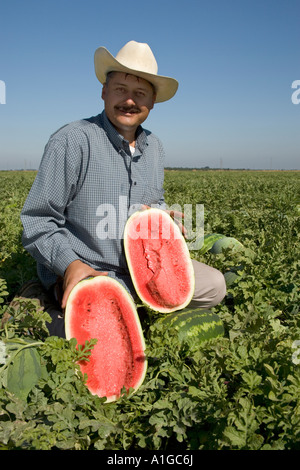 Hispanische Landarbeiter anzeigen halbierte Wassermelone, Stockfoto