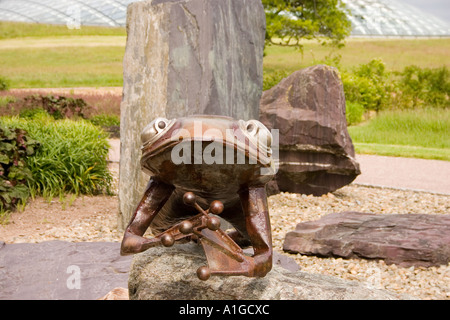 Metall-Skulptur Frosch Wales Botanic Gardens, Llanarthne, S Wales UK. Stockfoto