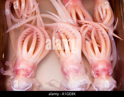 Stock Foto von Squid für Verkauf in einem Straßenmarkt von Hong Kong Island 2006 Stockfoto