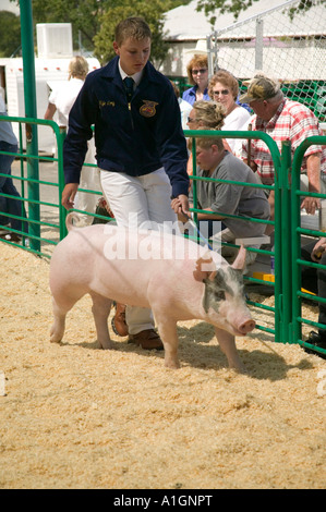 FFA-Teilnehmer, der Schwein zeigt, Calaveras County Fair, Kalifornien Stockfoto