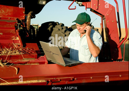 Bauer Arbeiten am Laptop, Weizen Ernte, International Harvester. Stockfoto