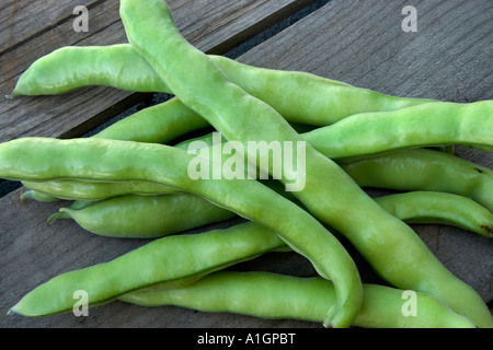 Bauernmarkt, Fava Bohnen. Stockfoto