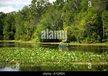 Wacissa Fluss, Menschen, Paddeln, Kanu, Florida Stockfoto