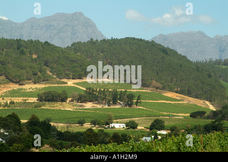 Stellenbosch Wine Route entlang der R44 Autobahn Western Cape Südafrika RSA Stockfoto