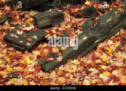 Ruinen einer Mühle, in der Nähe von Buttermilch fällt im Cuyahoga Valley National Park Stockfoto