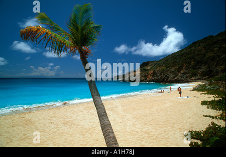 Gouverneur Strand St. Barths FWI Stockfoto