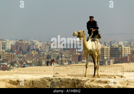 Tourismus-Polizei auf einem Kamel bei den Pyramiden, Cairo auf der Rückseite, Ägypten Stockfoto