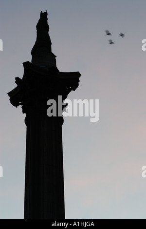 Silhouette von Nelsons Säule in Trafalgar Square London England UK Großbritannien Stockfoto