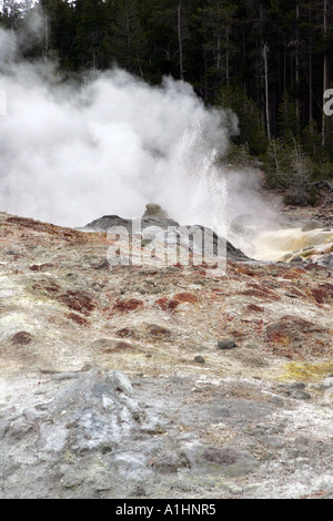 Dampf-Vent steigt aus überhitztem Wasser an der große Geysir Basin-Yellowstone Nationalpark-USA Stockfoto