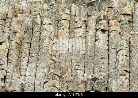 Säulenförmigen Basalt im Sheepeater Cliff im Yellowstone-Nationalpark, Wyoming, USA Stockfoto