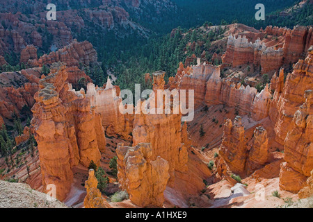 Hoodoos im Bryce Canyon Stockfoto