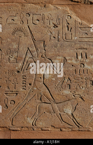 Königin Hatschepsut in Flachrelief von Hatschepsuts Rote Kapelle im Karnak-Tempel in der Nähe von Luxor (Theben), Ägypten. Stockfoto