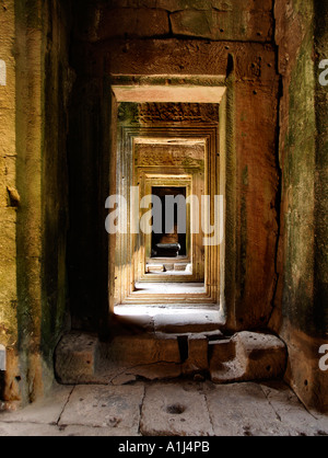 Wat Ta Prohm Tempel Angkor Kambodscha Stockfoto