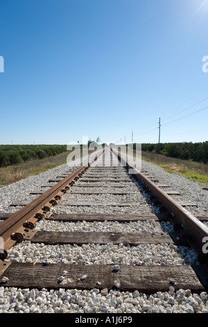Railroad Tracks, Florida, USA Stockfoto