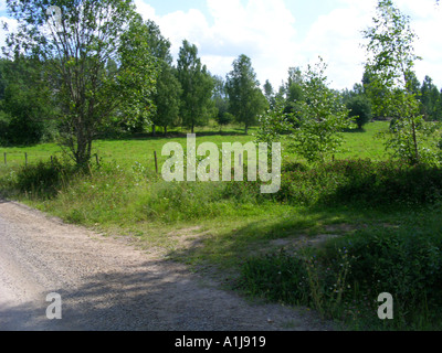 Kleines Land Feldweg in der Nähe von See Fryken in Värmland Schweden Stockfoto