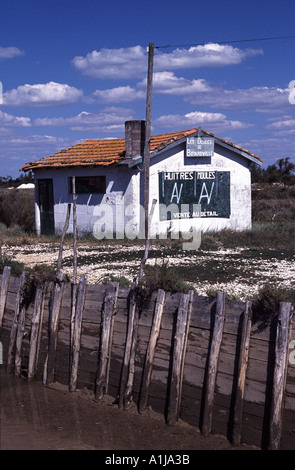 Boyardville Oyster Park Ile de Oléron Atlantikküste Frankreich Stockfoto