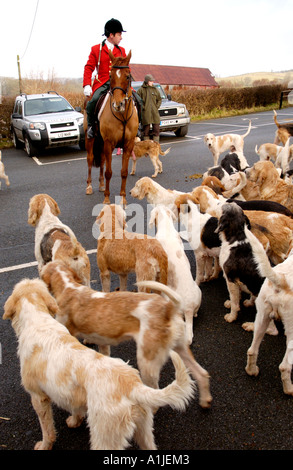 Brecon und Talybont Hunt montieren am oberen Kapelle Powys Wales UK GB Stockfoto