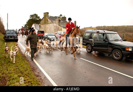 Brecon und Talybont Hunt montieren am oberen Kapelle Powys Wales UK GB mit Fox Hounds eine Duftspur folgen Stockfoto