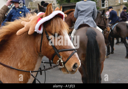 Golden Valley Jagd montieren auf dem Stadtplatz Uhr im Heu auf Wye Powys Wales UK GB Pony mit Weihnachtsmütze und Geweih Stockfoto