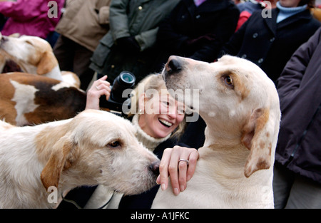 Golden Valley Jagd montieren auf dem Stadtplatz Uhr im Heu auf Wye Powys Wales UK GB Anhänger Foto Jagdhunde closeup Stockfoto