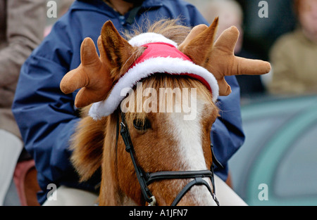 Golden Valley Jagd montieren auf dem Stadtplatz Uhr im Heu auf Wye Powys Wales UK GB Pony Komödie Weihnachtsmütze mit Geweih Stockfoto