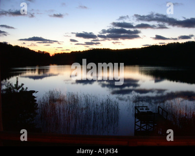 Auffällige Muster von Sonne und Schatten auf Schilf am Rand des schwedischen See in Herbstsonne Stockfoto